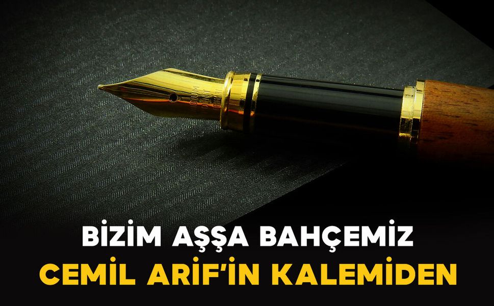 Cemil Arif: Bizim Aşşa Bahçemiz