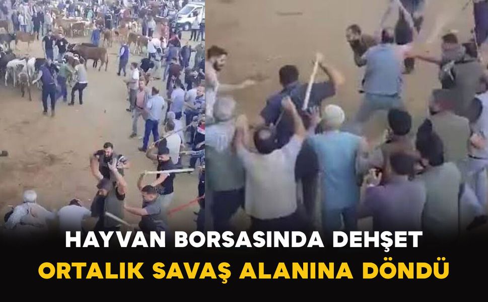 Hayvan Borsasında Dehşet: Ortalık Savaş Alanına Döndü