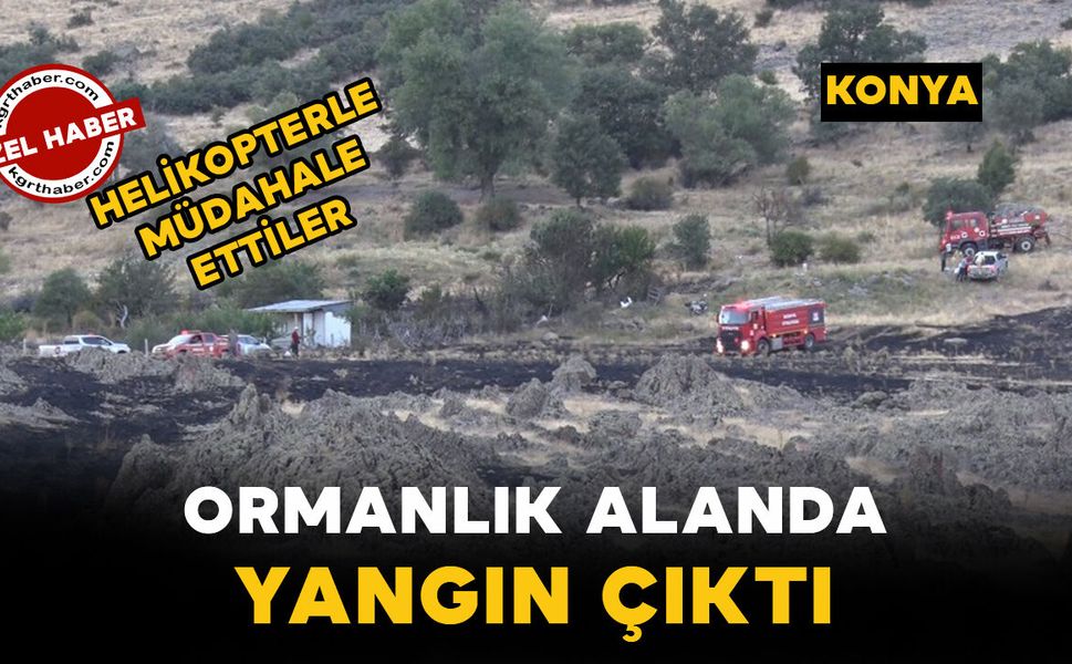 Konya’da ormanda yangın