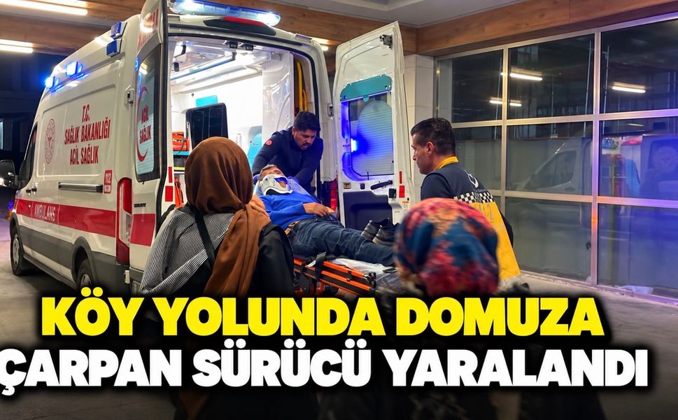 Karaman’da rahatsızlanan babasını ambulansa teslim eden sürücü domuza çarptı: 1 yaralı