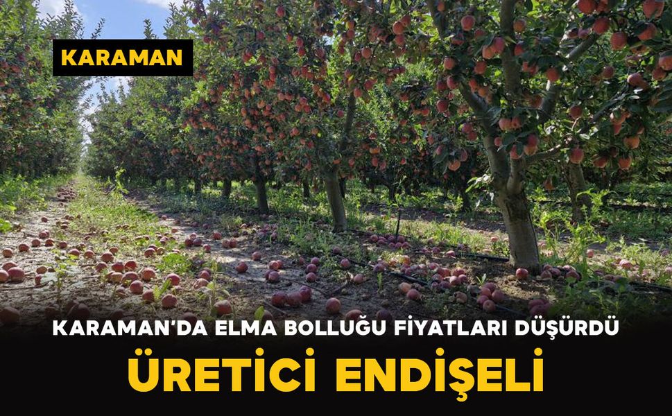 Karaman’da elma bolluğu fiyatları düşürdü: Üretici endişeli