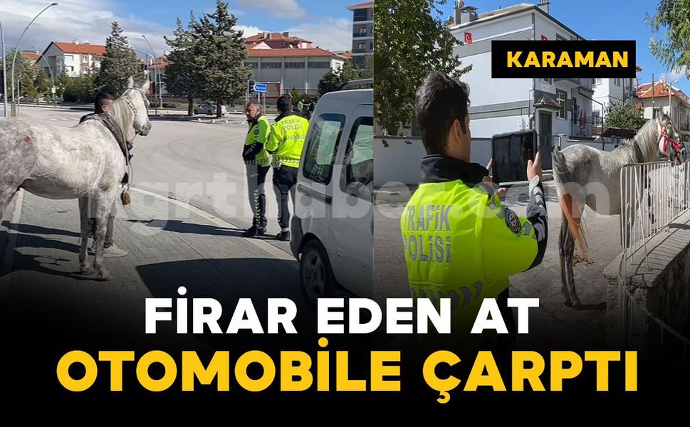 Karaman'da firar eden at otomobile çarptı: Maddi hasar meydana geldi