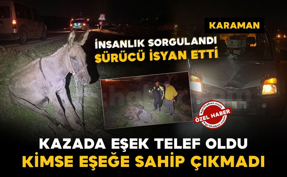 Karaman'da hafif ticari aracın çarptığı eşek telef oldu: "Eşeğe kimse sahip çıkmadı"
