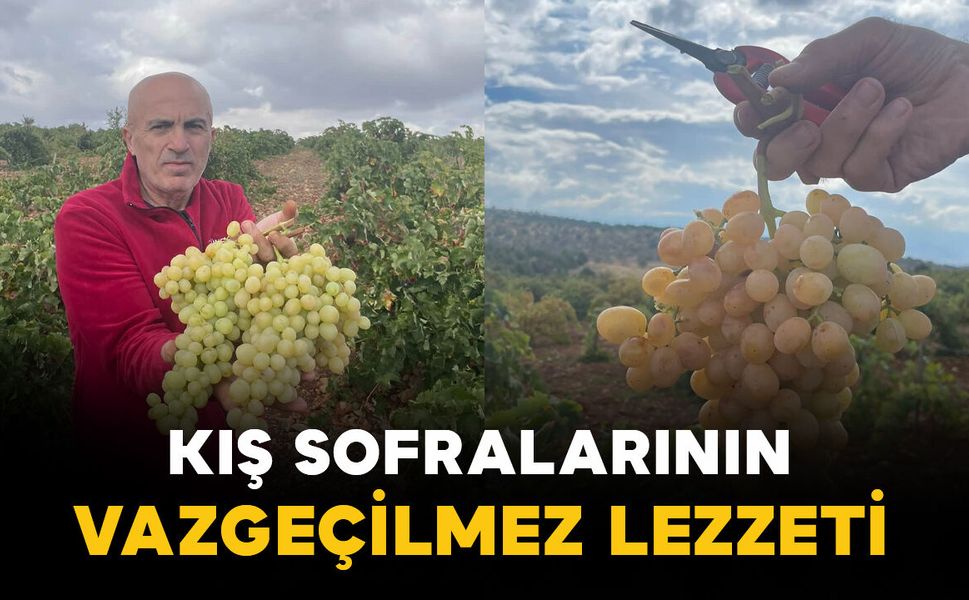 Karaman’da kış sofralarının vazgeçilmez lezzeti: Esabalı üzümü