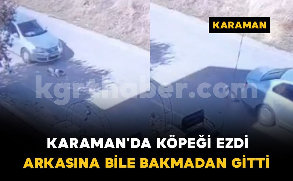 Karaman'da köpeğe çarpan araç arkasına bile bakmadan gitti