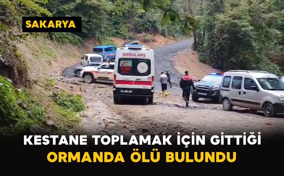 Sakarya'da kestane toplamak için gittiği ormanda ölü bulundu