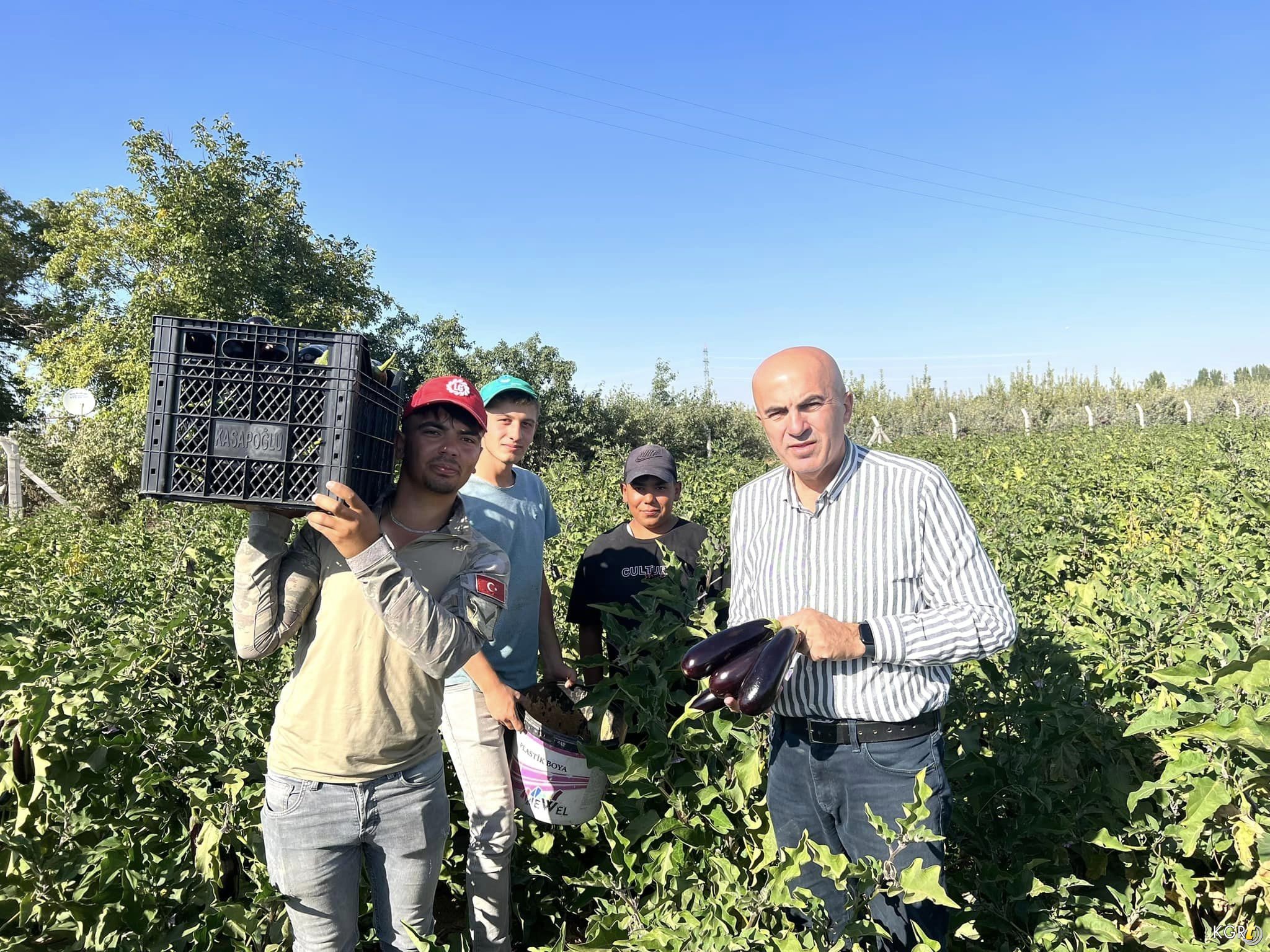 381012810_10160766150479800_6562303299456013043_n