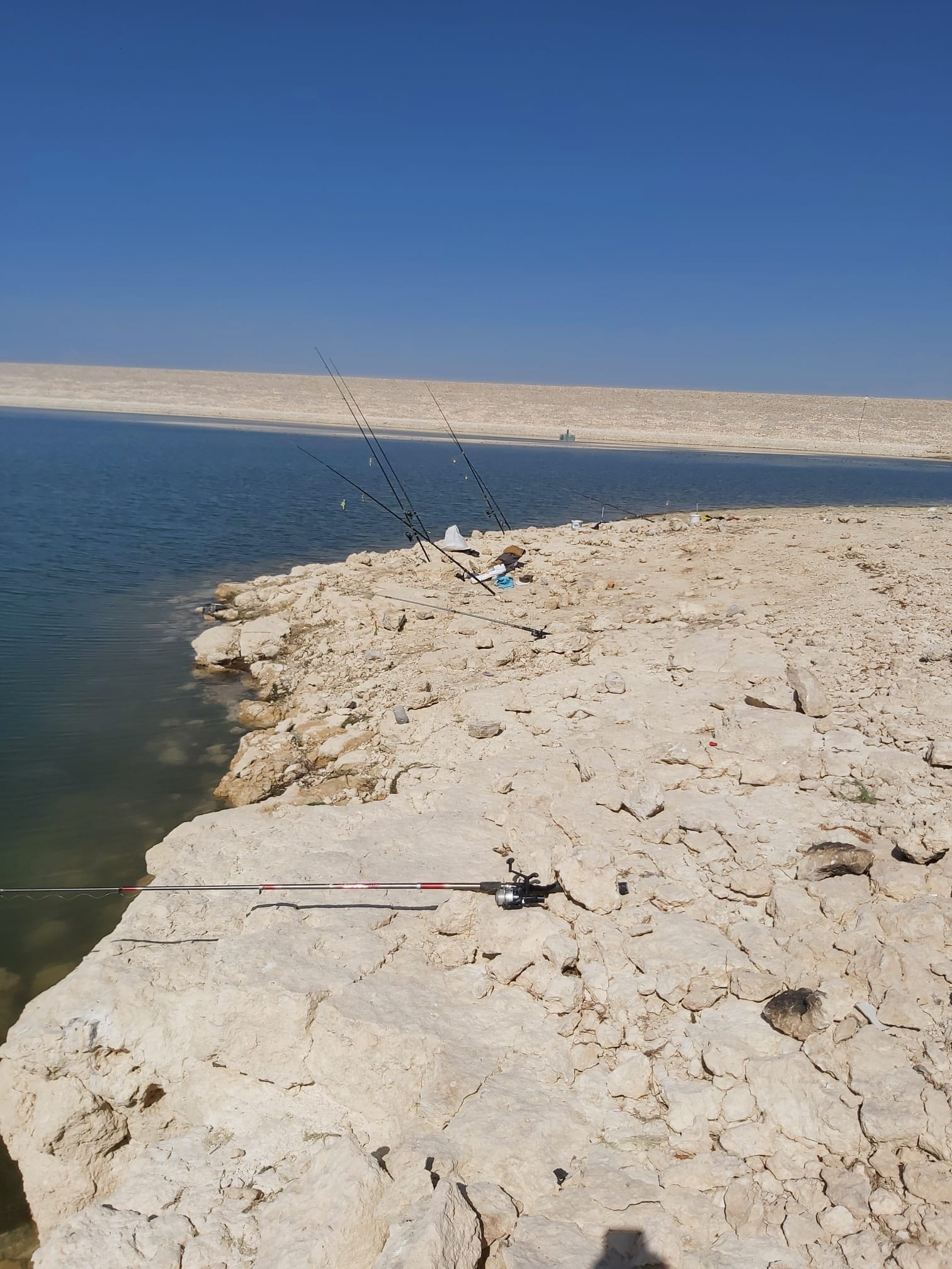 384734942_643308461241251_4570451794885247833_n