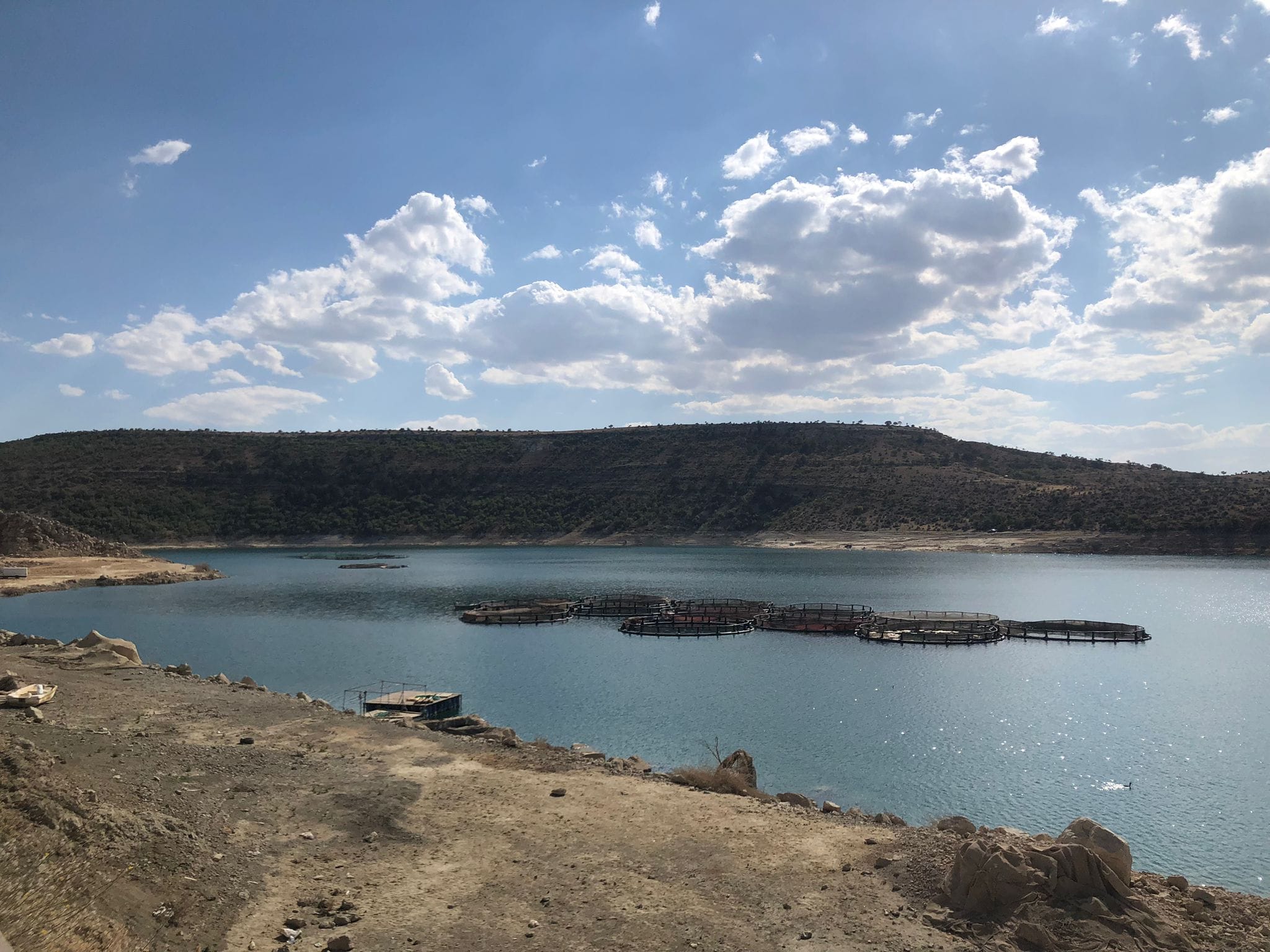 384754749_643308427907921_427486592978725381_n