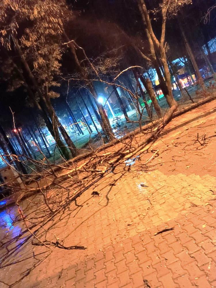 yikilan-agaclar-sokagi-kapatti1