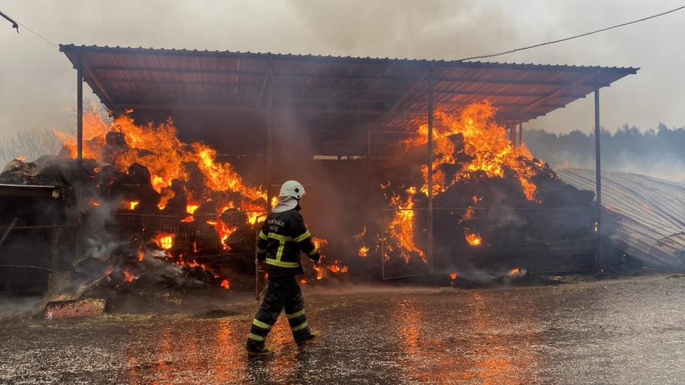 Canakkalede Yildirim Dustu 45 Yillik Birikimin Yarisi Gitti (3)