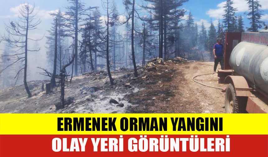 Karaman-Ermenek Orman Yangını Olay Yeri Görüntüleri