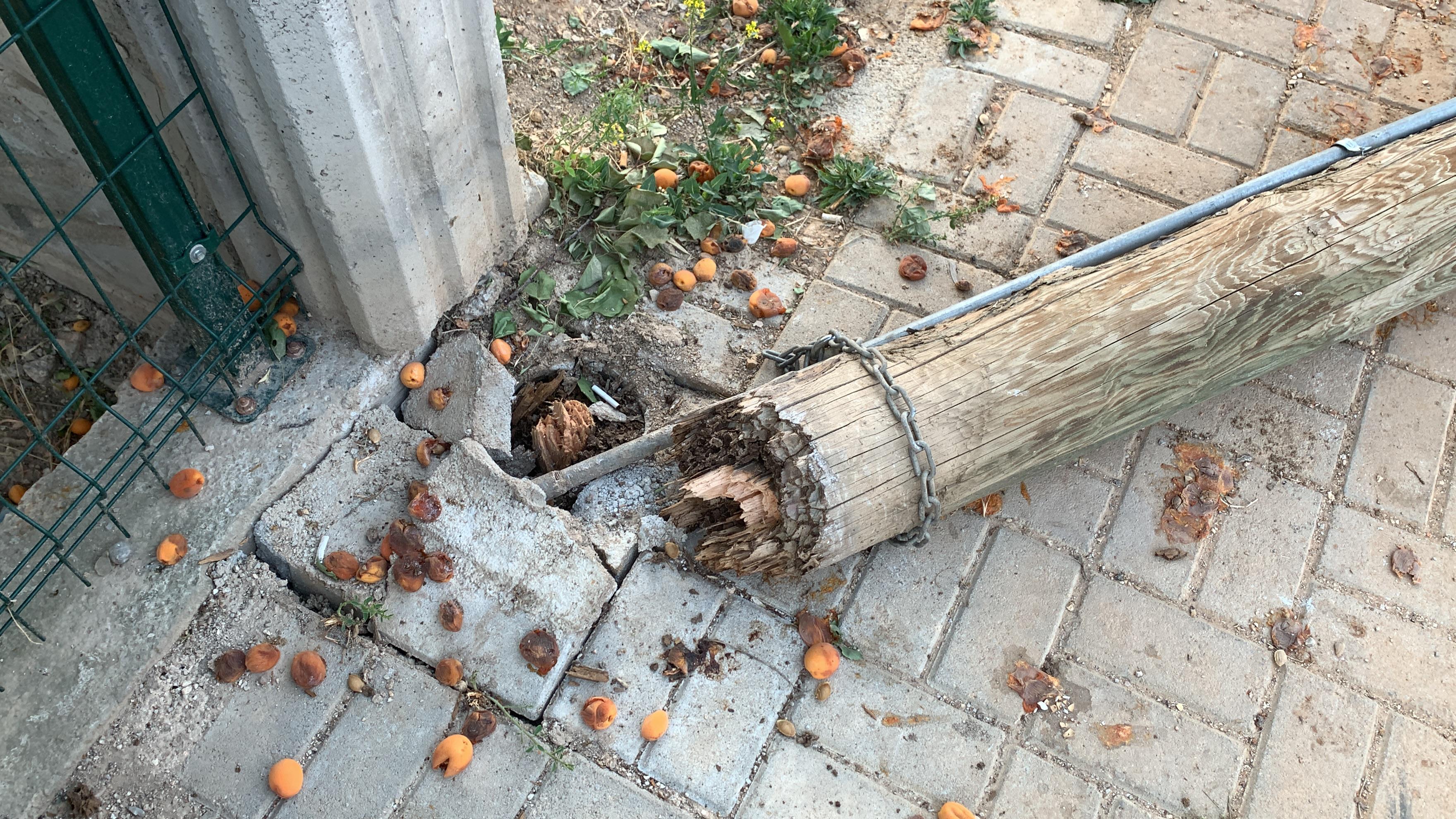 Telefon Diregi Devrildi Faciadan Donuldu (2)