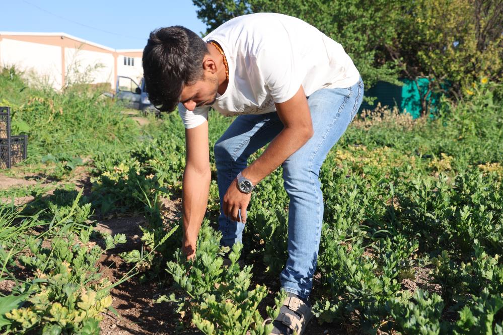 Azimle Calisan Genc Ciftci Urunlerini Yurt Disina Gonderiyor2