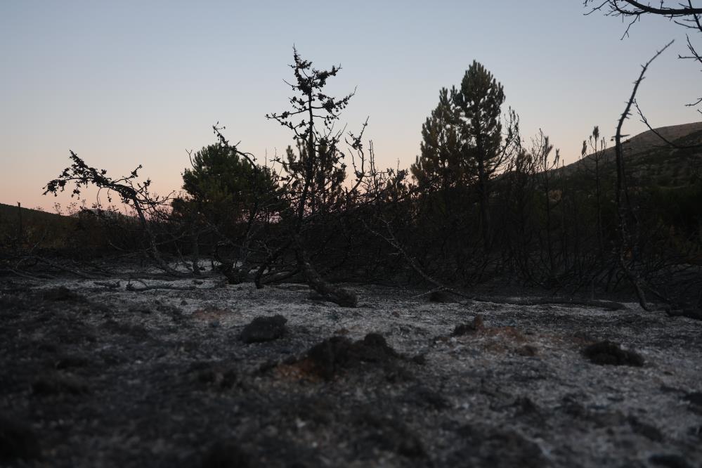 Konyada 15 Hektarlik Alan Kul Oldu4