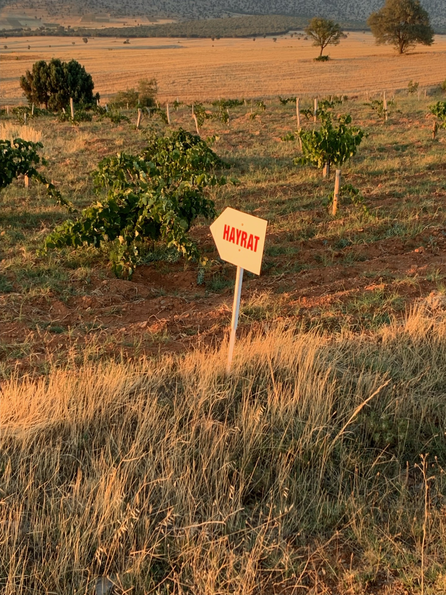 Topraklarimizi Kimler Nicin Aliyor (3)