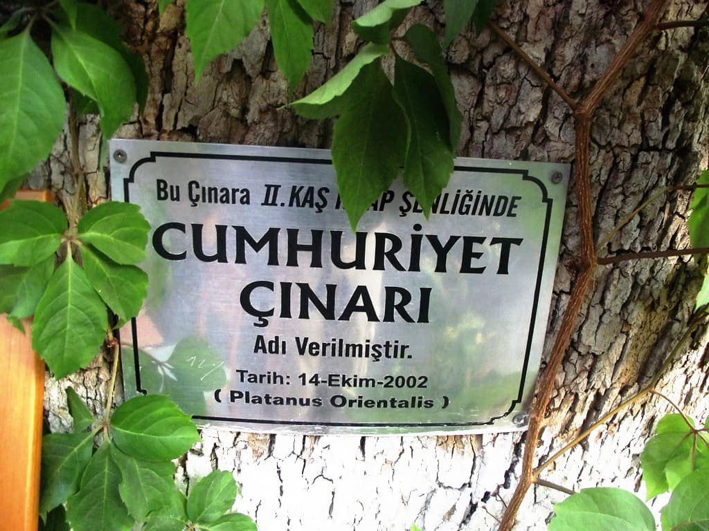 Cumhuriyet Cinari3