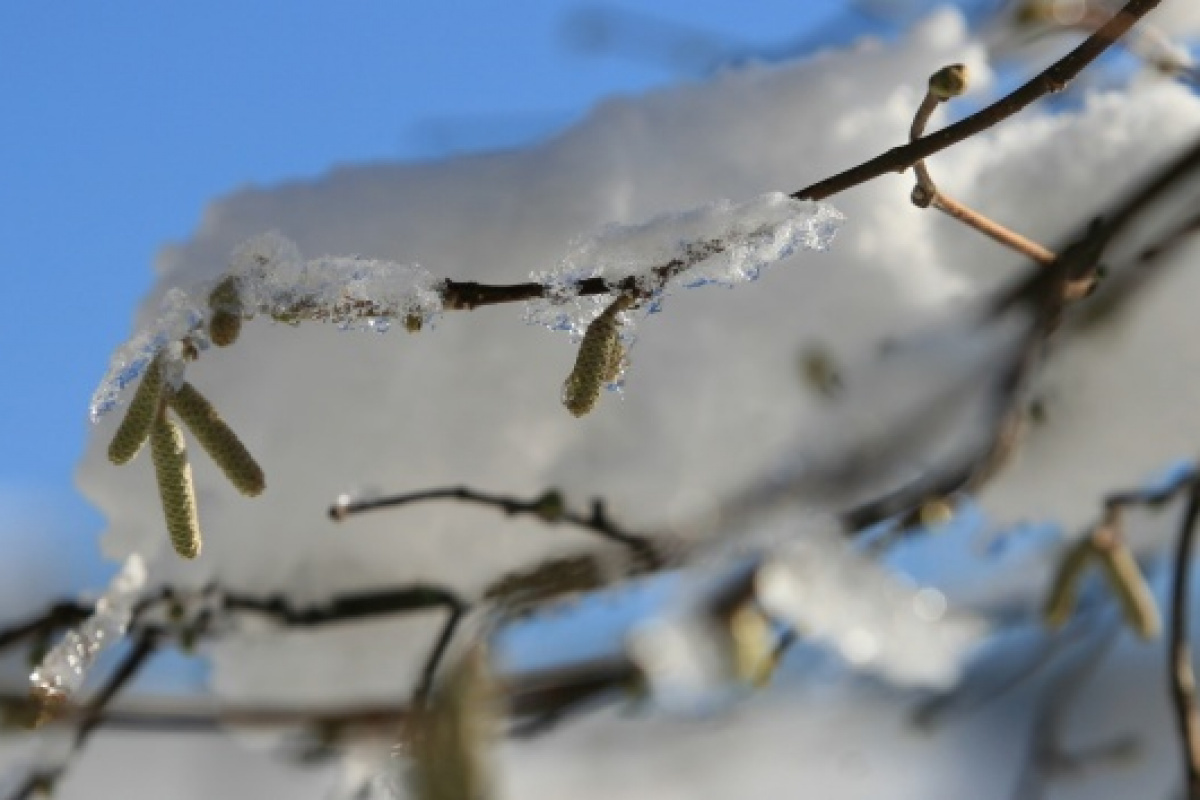 Karamanda Meteorolojiden Zirai Don Uyarisi2