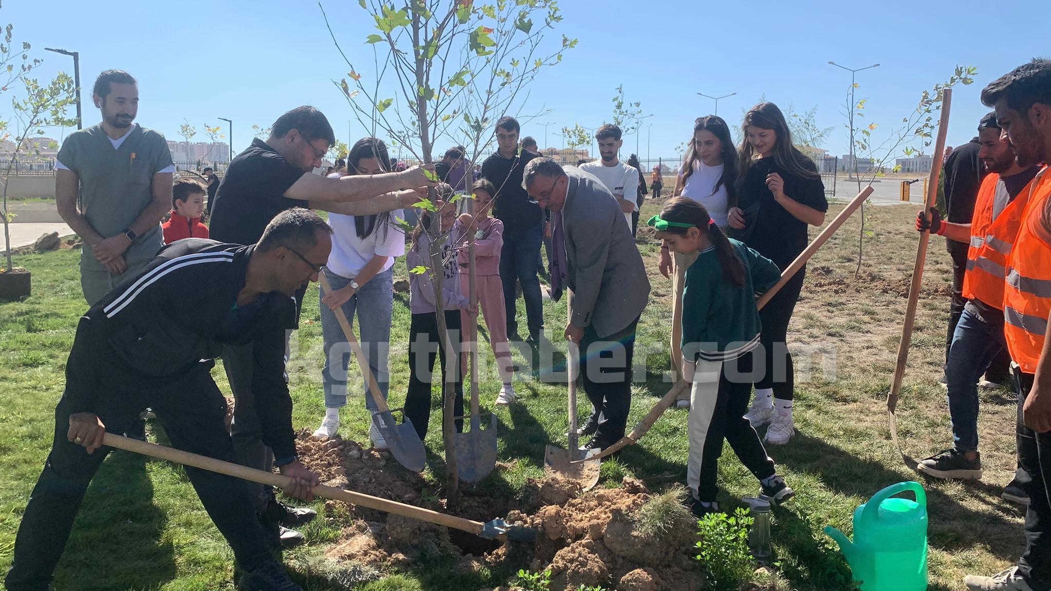 Kmude 70 Cinar Fidani Toprakla Bulustu2