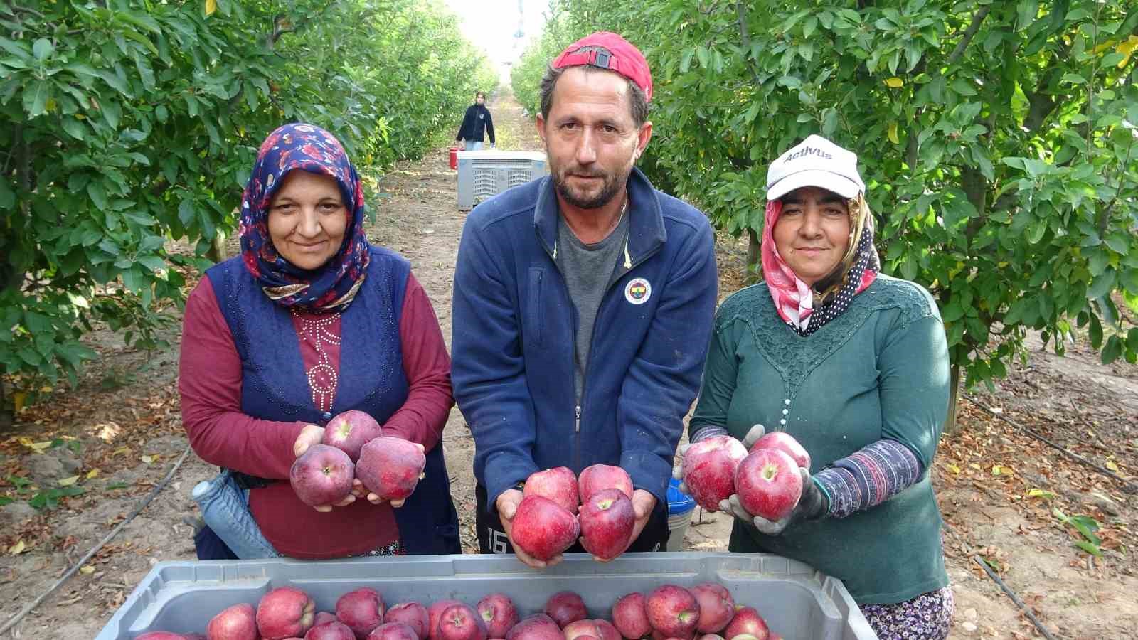 Turkiyenin En Iyi Elmasi Nerede Yetisir3