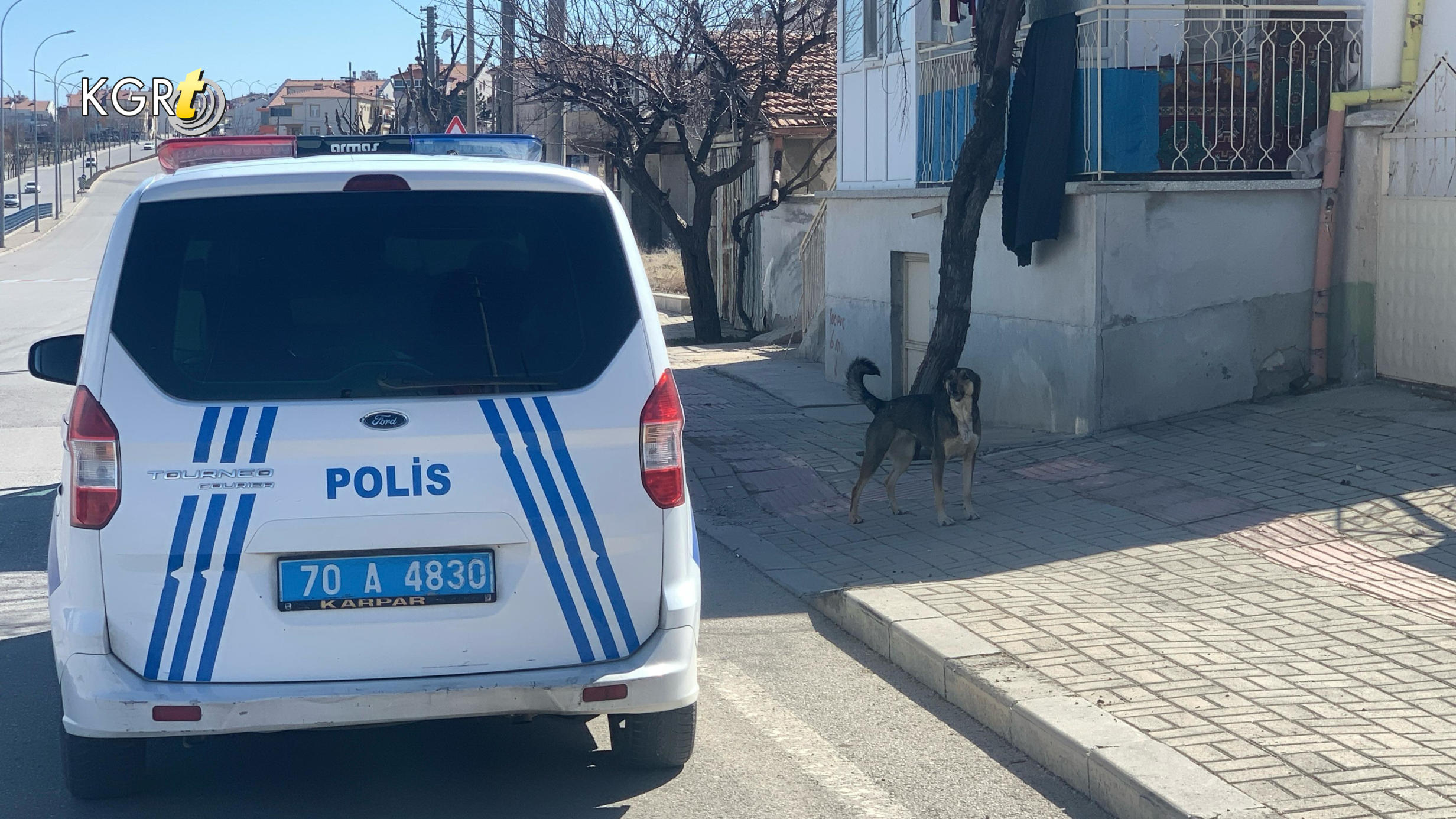 Karamanda Kopek Saldirisinda Baba Oglu Icin Kendini Feda Etti7