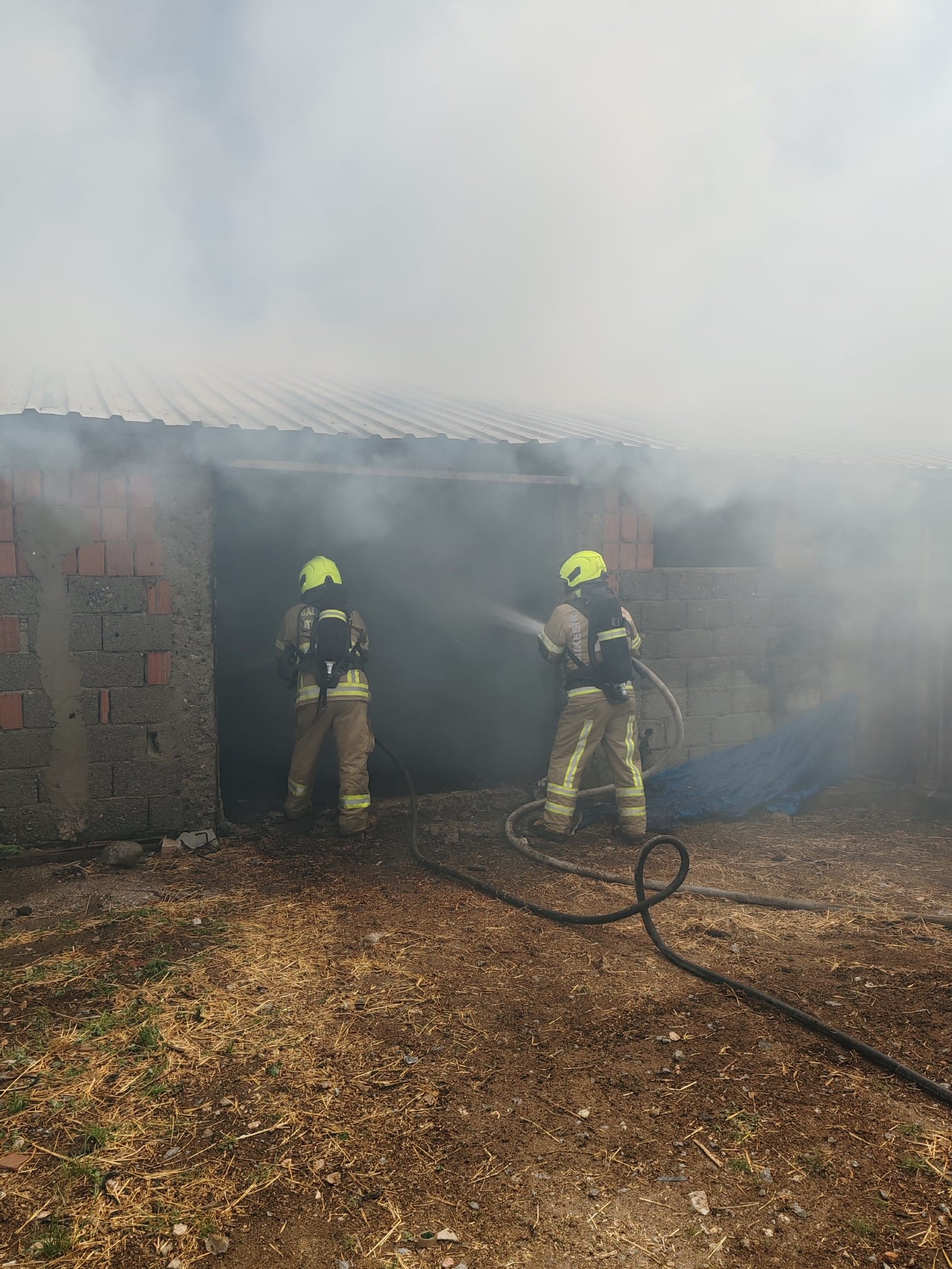 Ahir Yangini 42 Kucukbas Hayvan Telef Oldu (3)