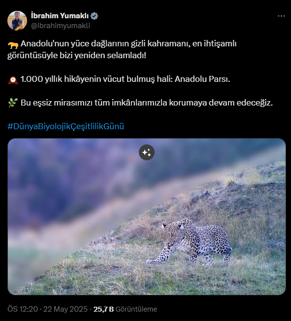 Bakan Yumakli Anadolu Parsini Paylasti (1)