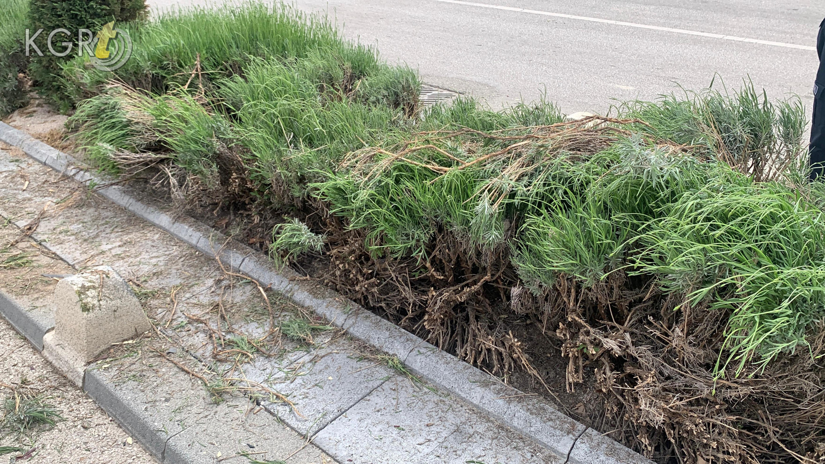 Ehliyet Aldiktan 3 Gun Sonra Kaza Yapan Kadin Surucu Cok Heyecanliyim Dedi10