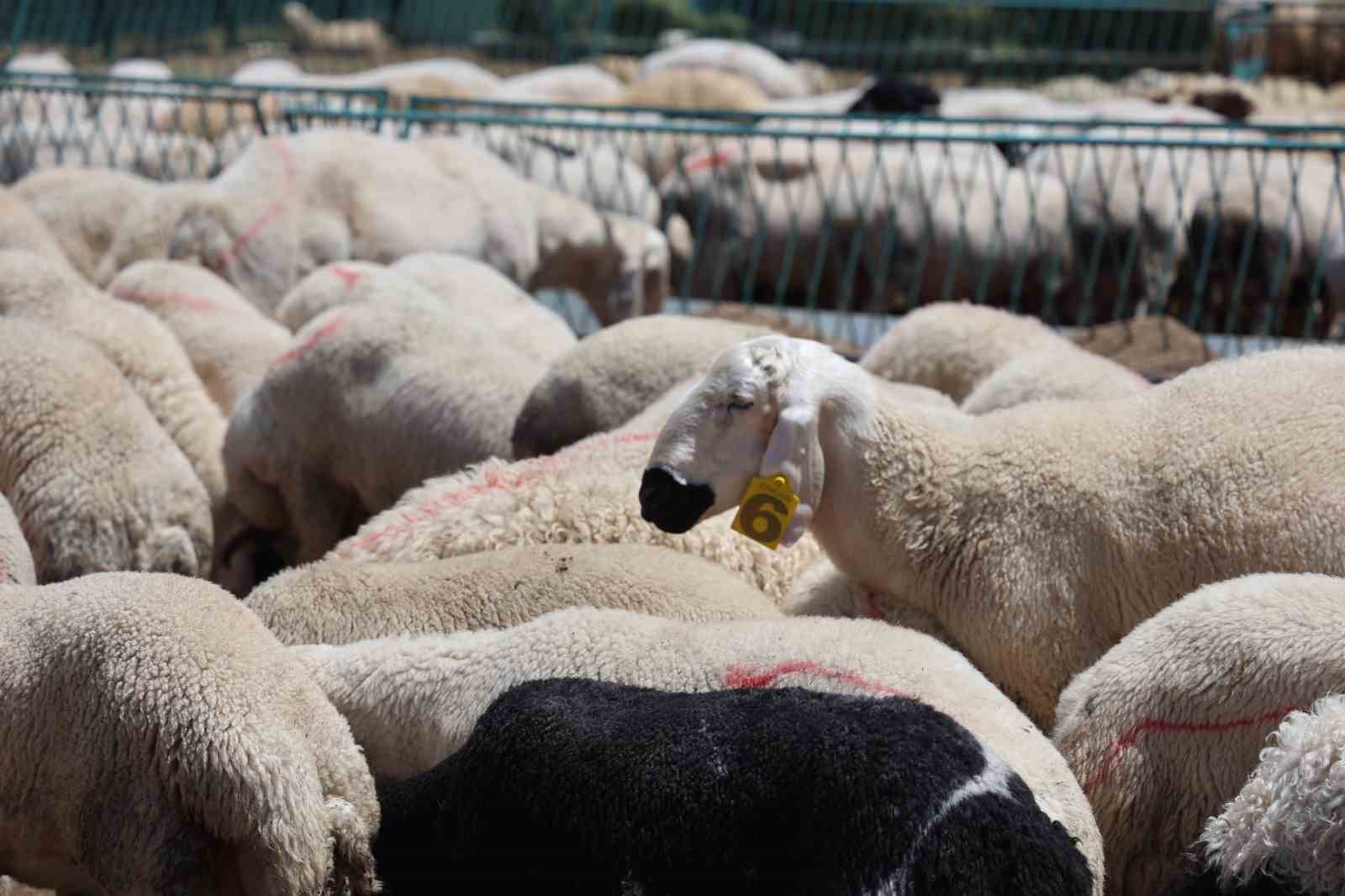 Emekli Bayram Ikramiyesi Tarihleri Belli Oldu (2)