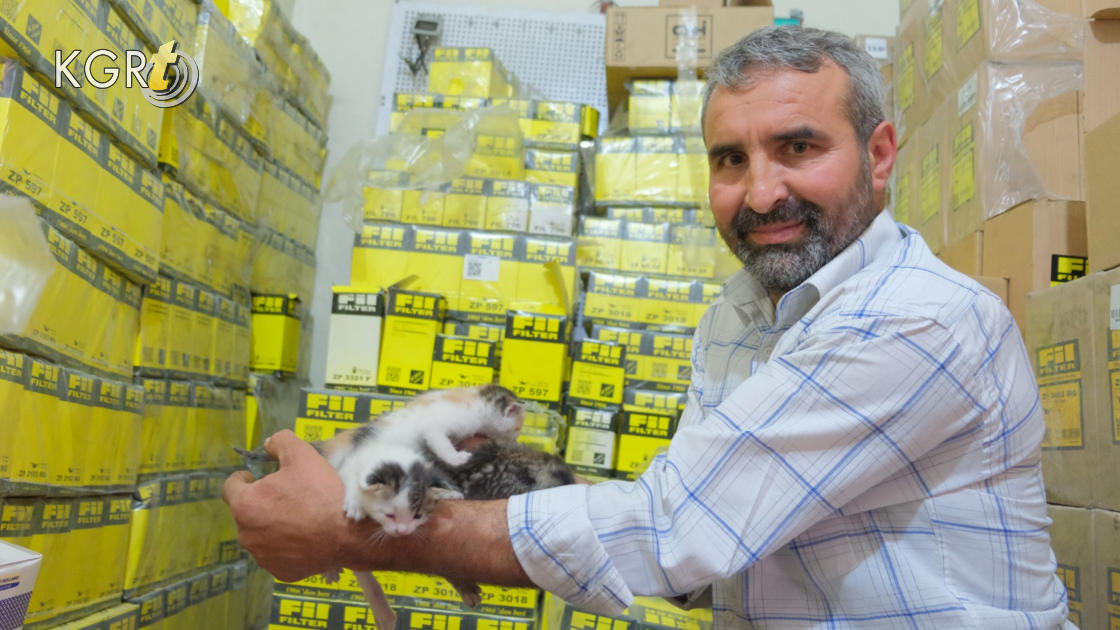 Karamanda Hamile Kedi Sanayide Dogum Yapti Isyeri Sahibi Yavrularina Gozu Gibi Bakiyor1