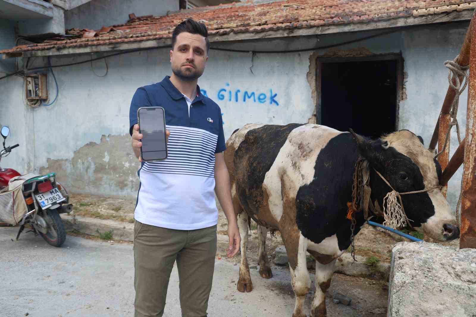 Kurbanlik Dana Alirken Sosyal Medyada 200 Bin Tl Dolandirildi1