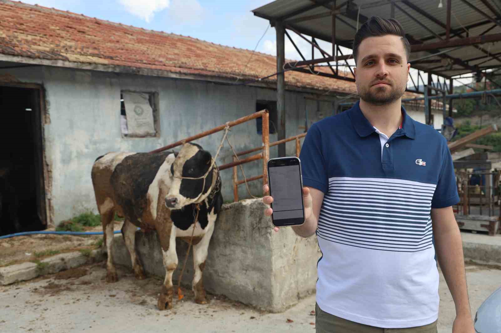 Kurbanlik Dana Alirken Sosyal Medyada 200 Bin Tl Dolandirildi2