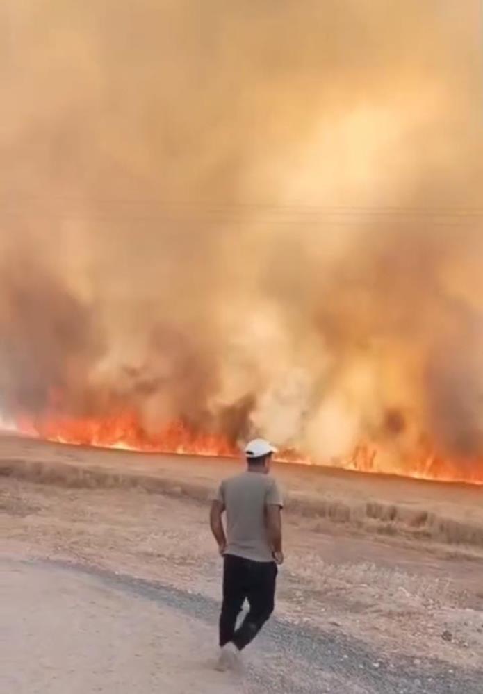 40 Donum Ekili Arazi Yandi1