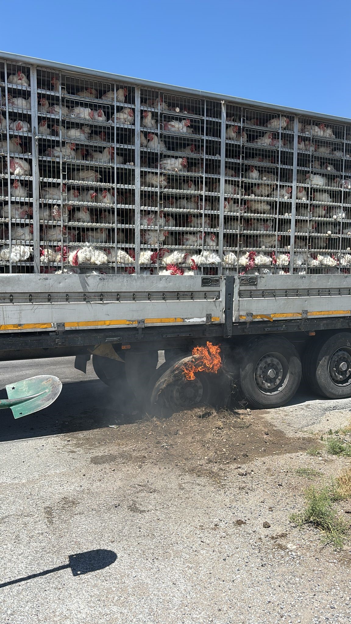 Canli Tavuk Yuklu Tirda Yangin (1)