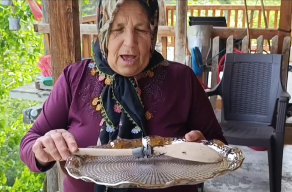 Dev Geyik Bocegi Goruldu Cezasi 557 Bin Lira2