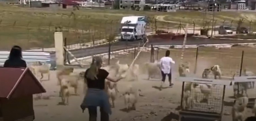 Ekran Görüntüsü 2025 06 13 155505