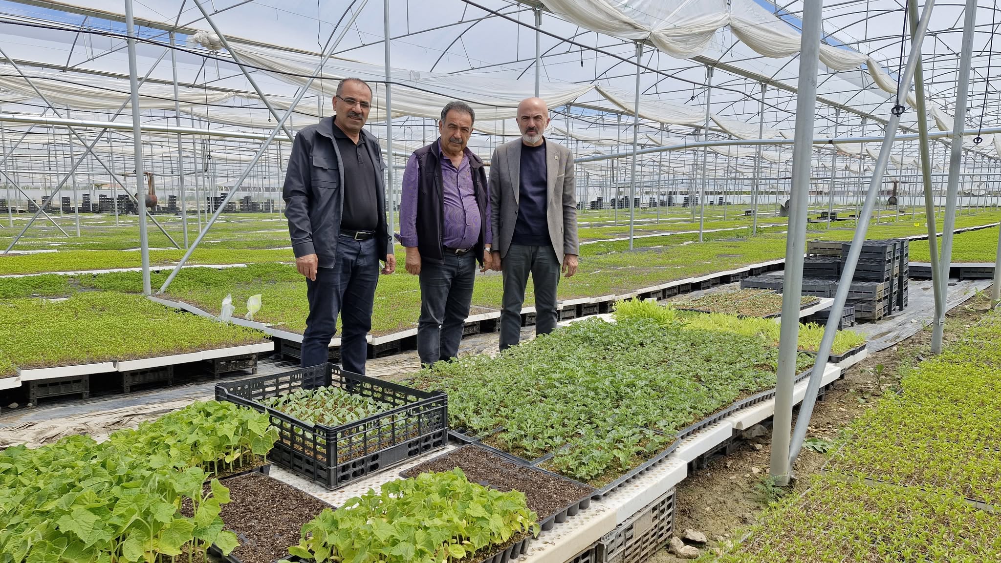 Karamanda 5 Bin Metre Karade 5 Milyon Fide Uretiyor (1)