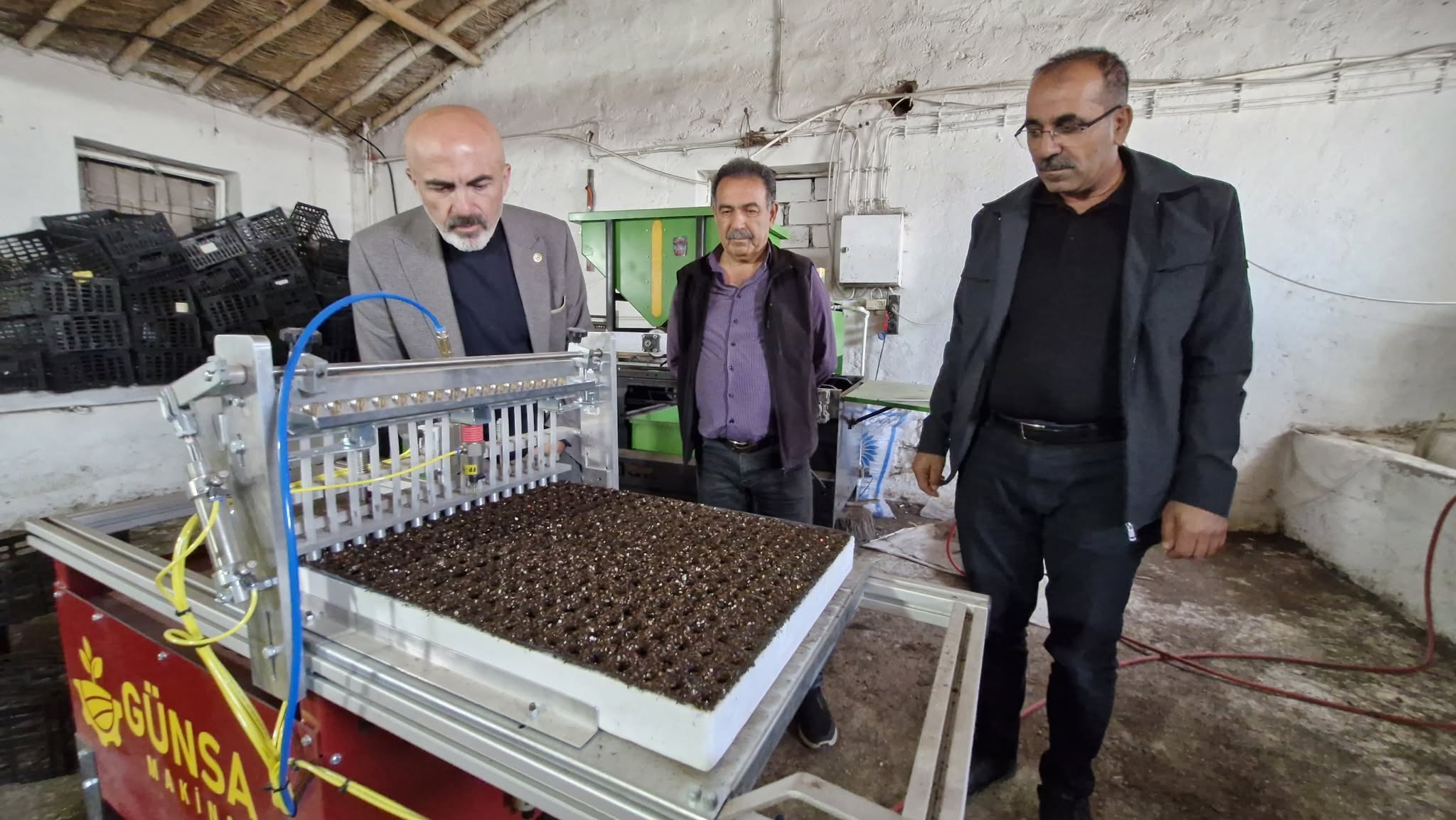 Karamanda 5 Bin Metre Karade 5 Milyon Fide Uretiyor (3)