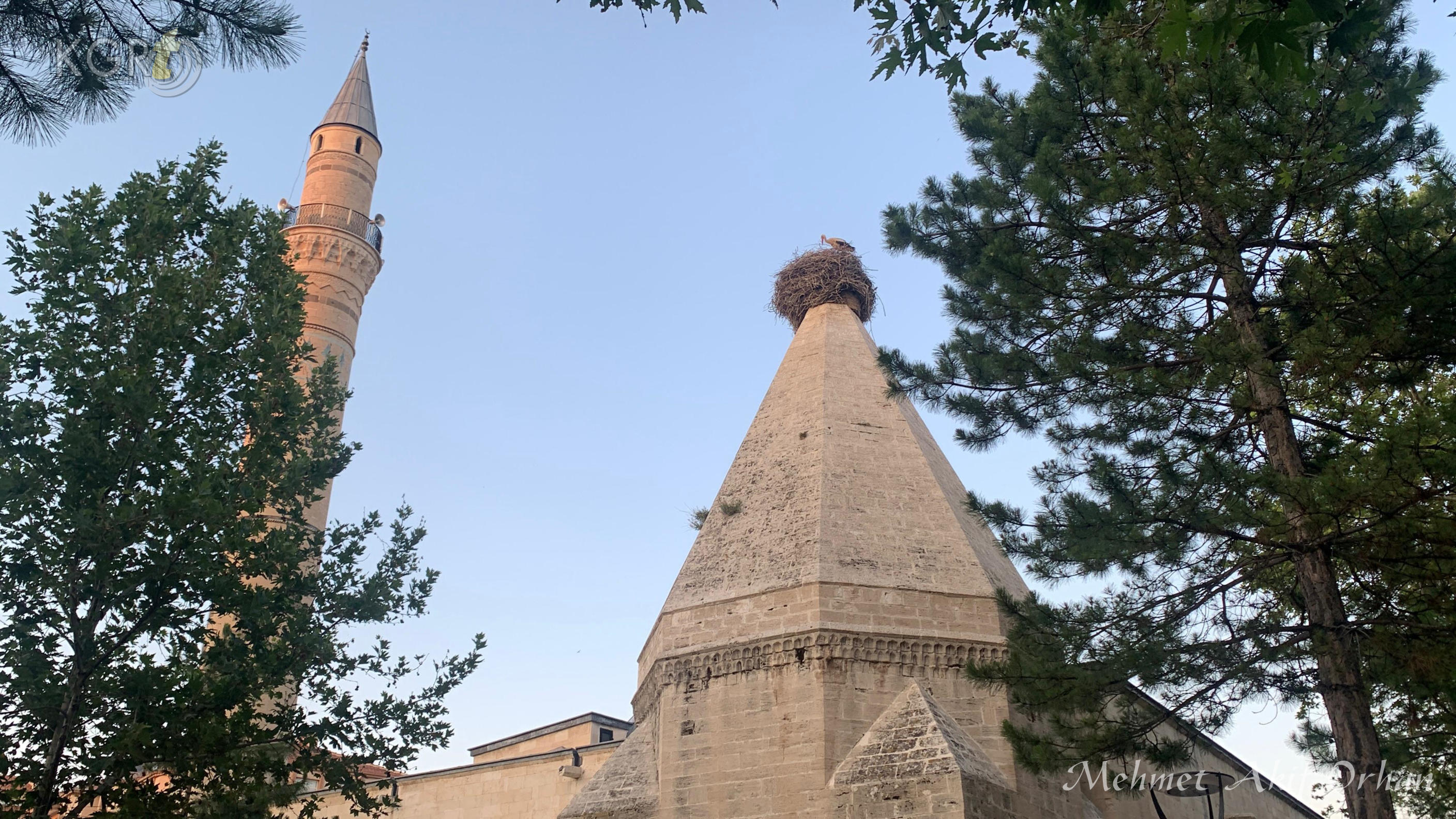 Karamanda Anne Leylek Turbe Kubbesindeki Yuvada Yavrularini Dunyaya Getirdi5