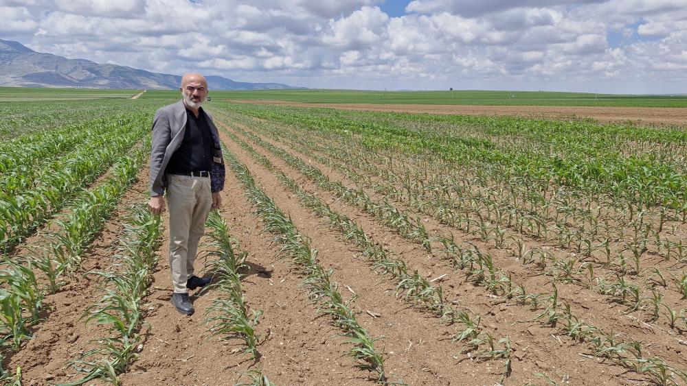Karamanda Sok Eden Saldiri Misir Tarlasina Dronlu Ot Ilaci Saldirisi2
