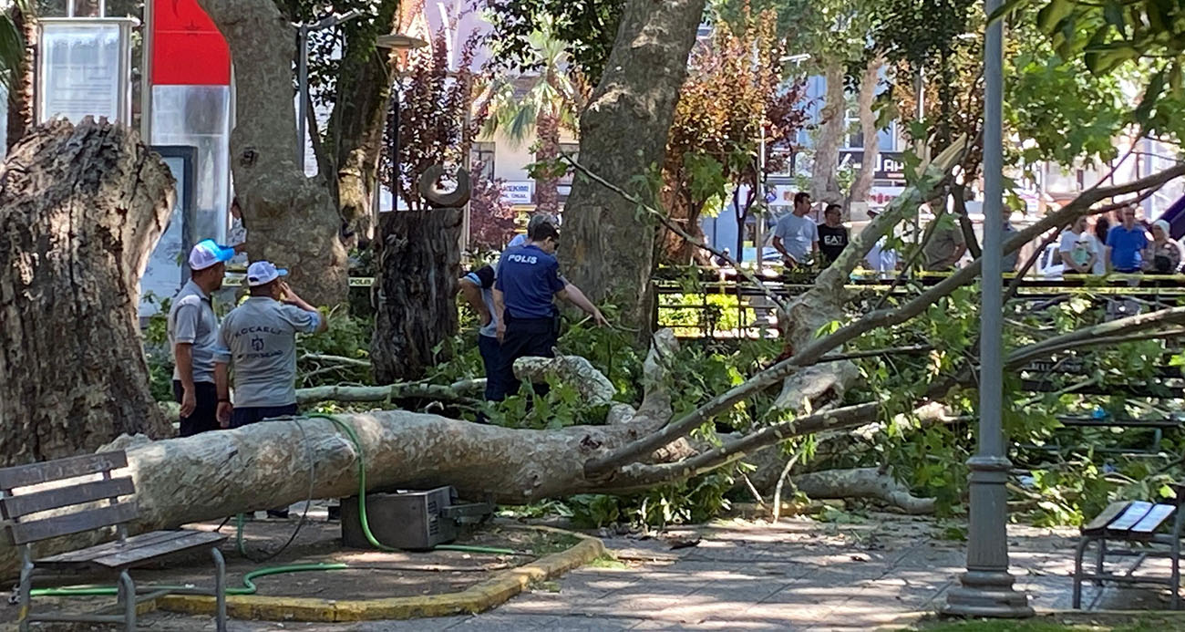 uzerine-agac-dali-dusen-genc-kiz-yasamini-yitirdi1