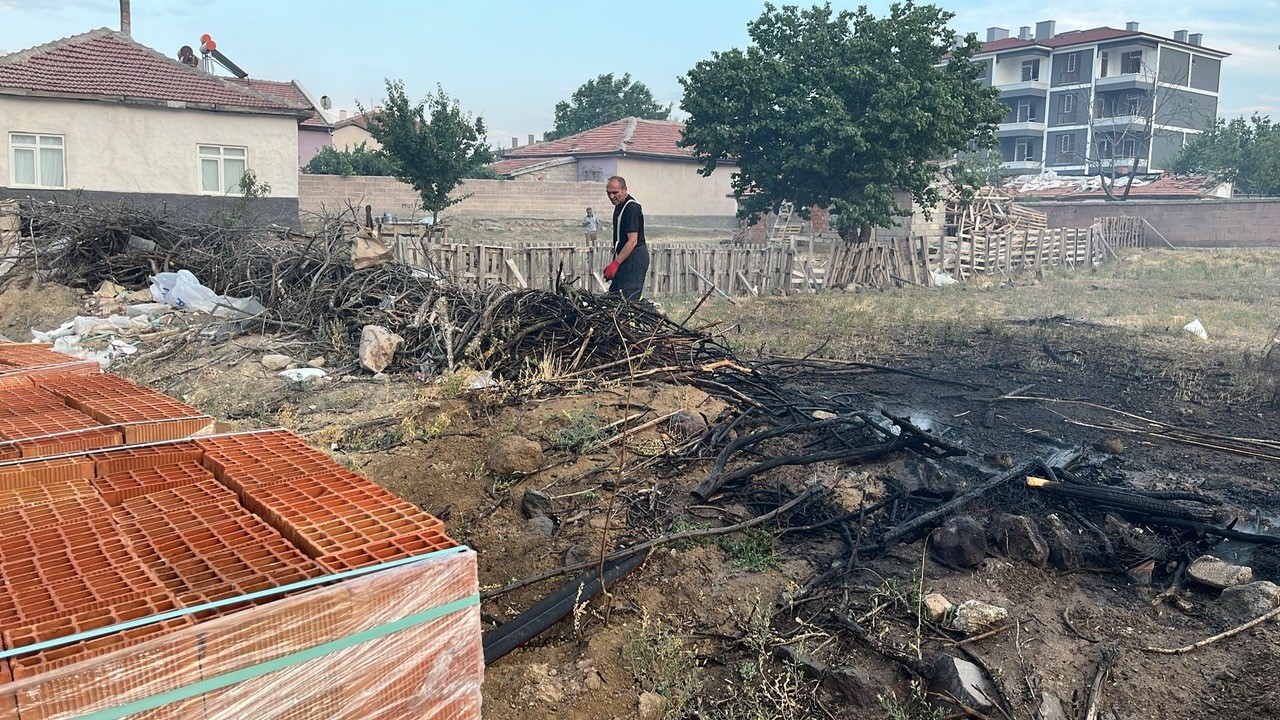 bahcedeki-agaclarda-yangin-cikti2