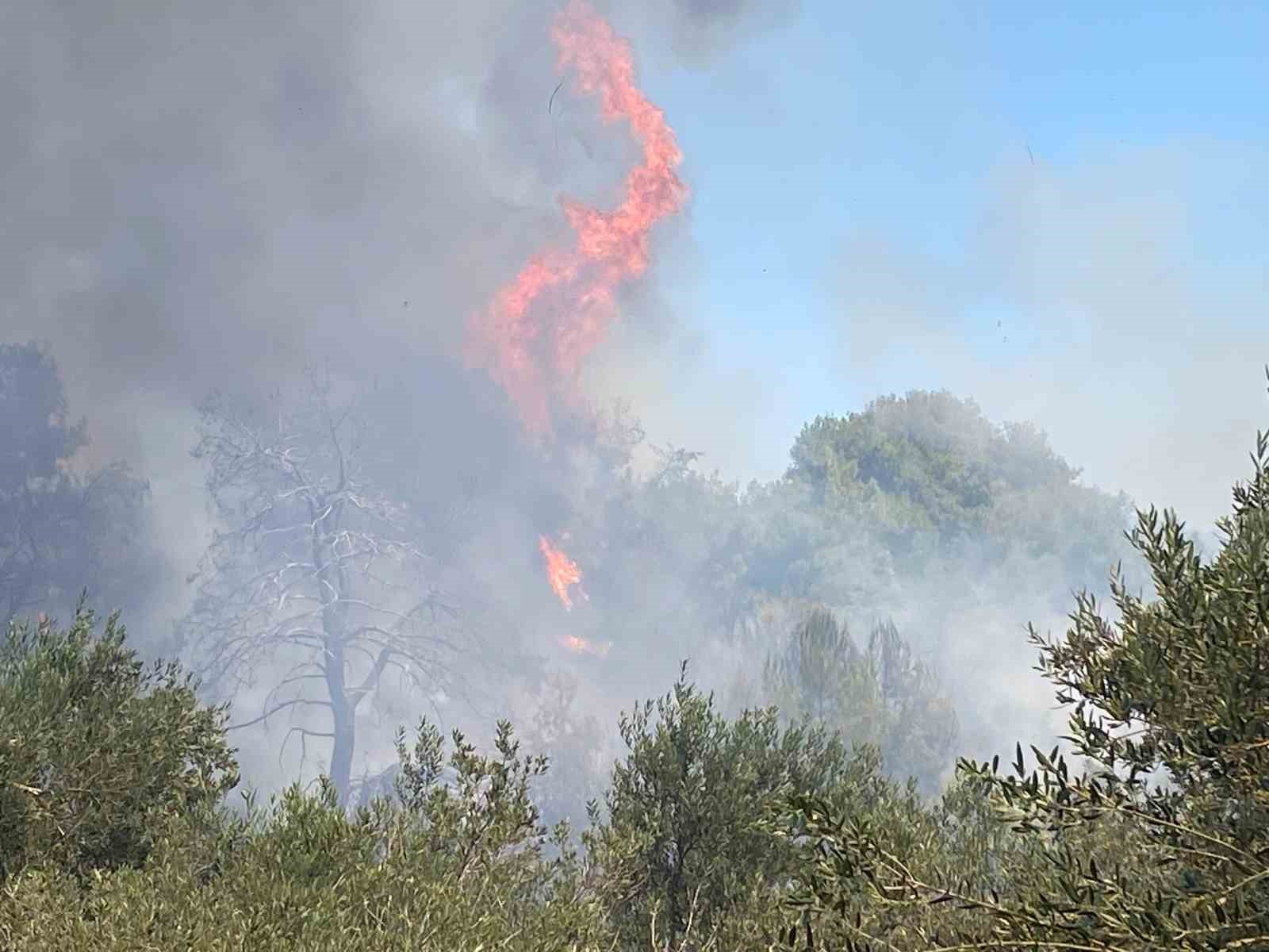 Antalya Muratpasada Orman Yangini (4)