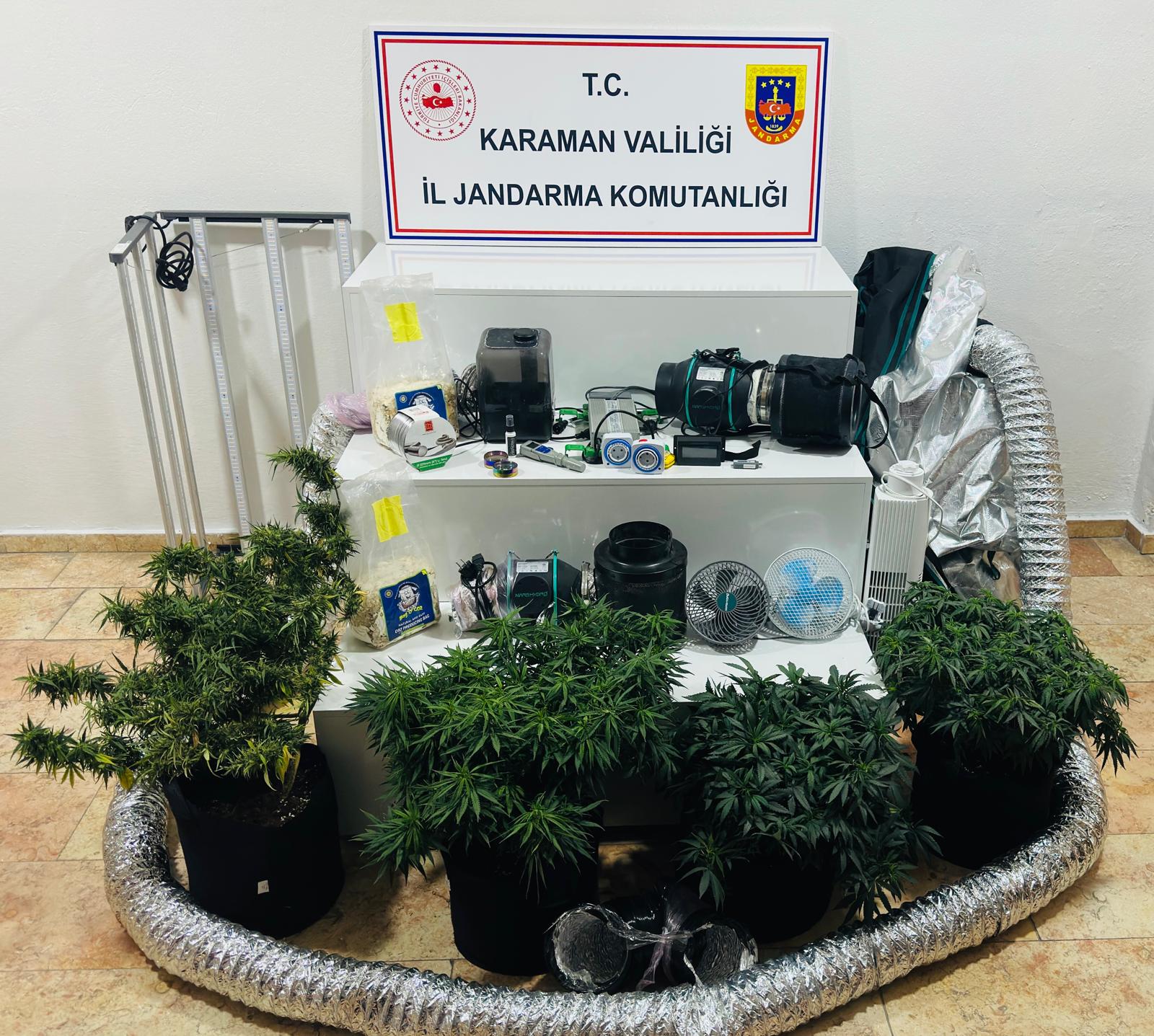 Kamp Cadirinda Gizli Serada Kenevir Yetistirdiler 3 Gozalti (1)