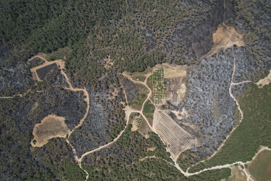 Orman Yanginindan Geriye Kul Ve Tahribat Kaldi (2)