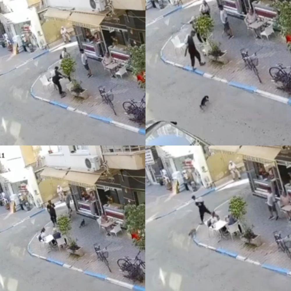 Sokak Kedisine Defalarca Tekme Atti Tutuklandi2