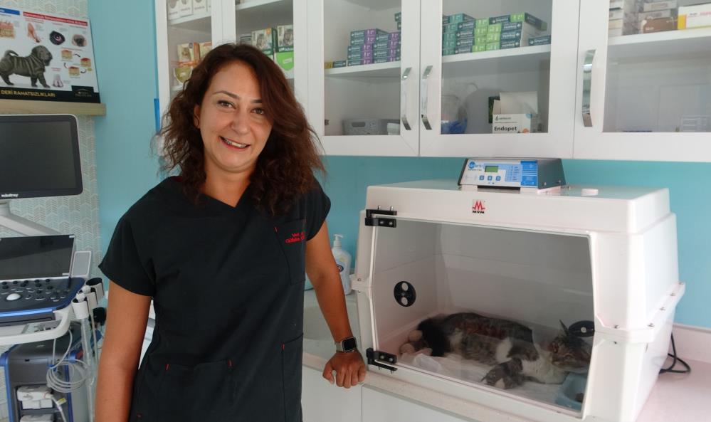 Sokak Kedisine Defalarca Tekme Atti Tutuklandi3