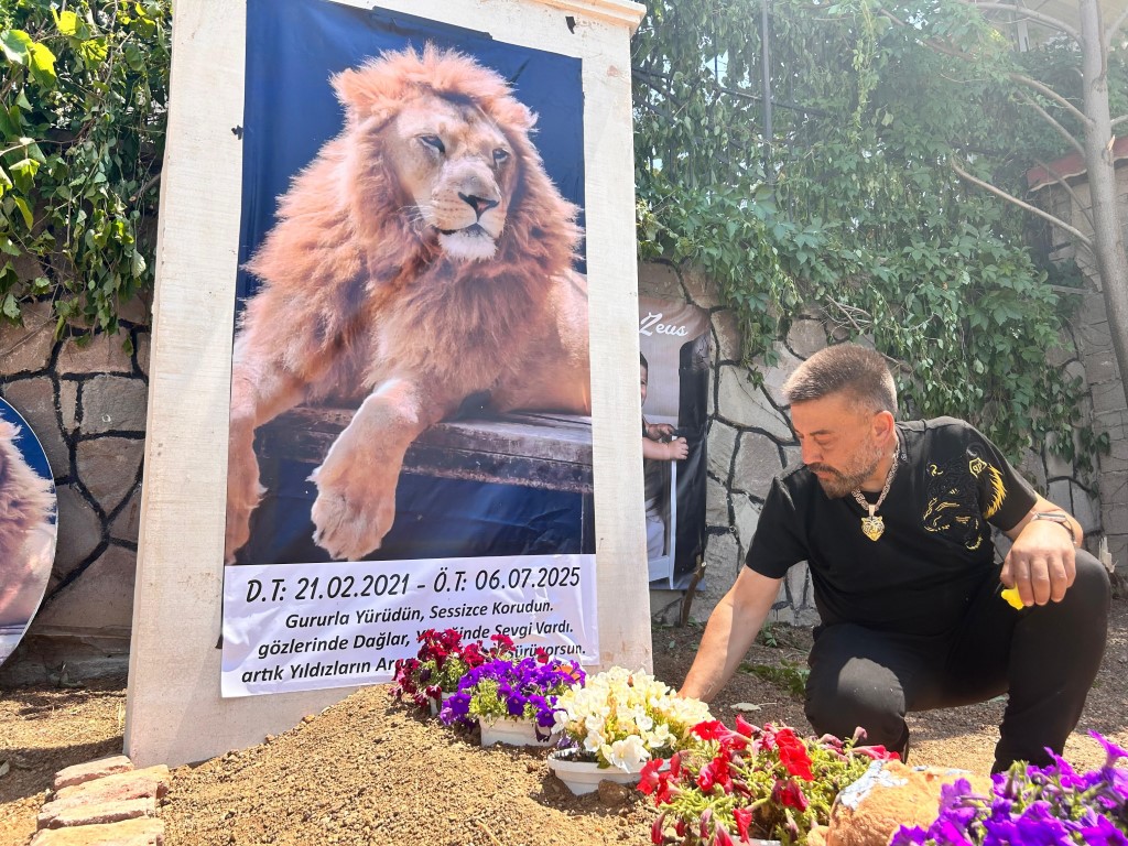 Zeus Oldu Sahibi Mezar Yaptirdi (1)