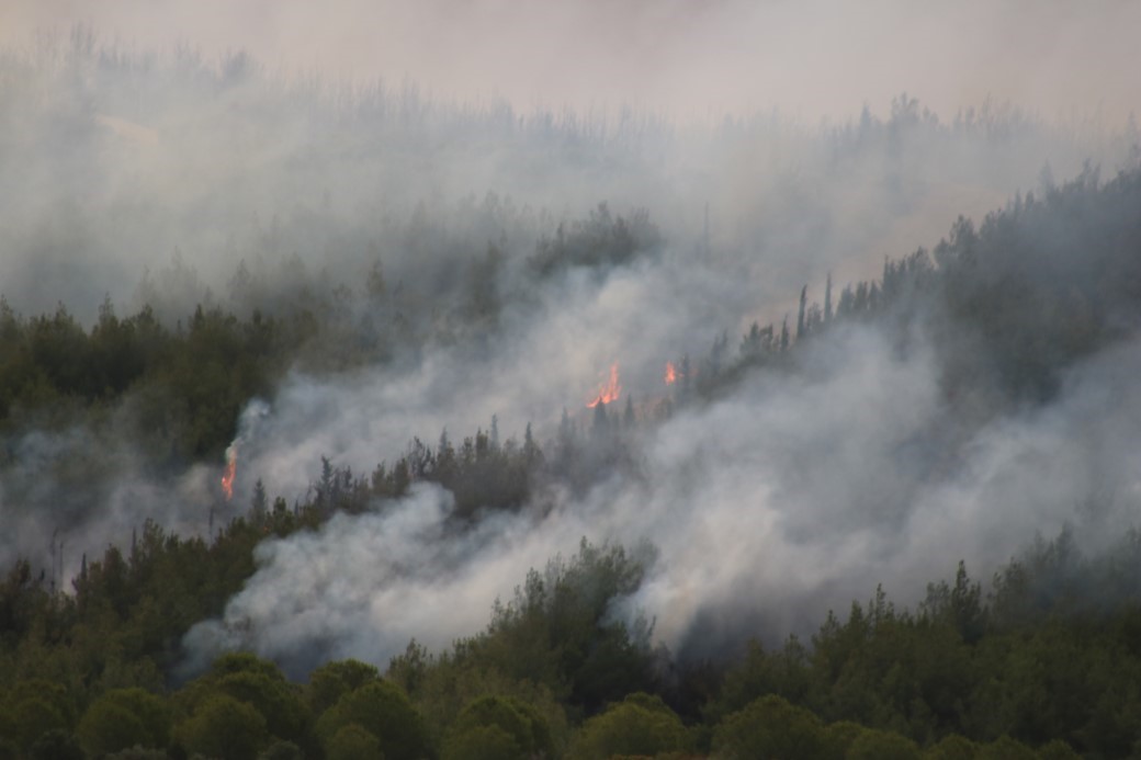 Canakkale Ates Cemberinde Geliboluda Orman Yangini Suruyor1