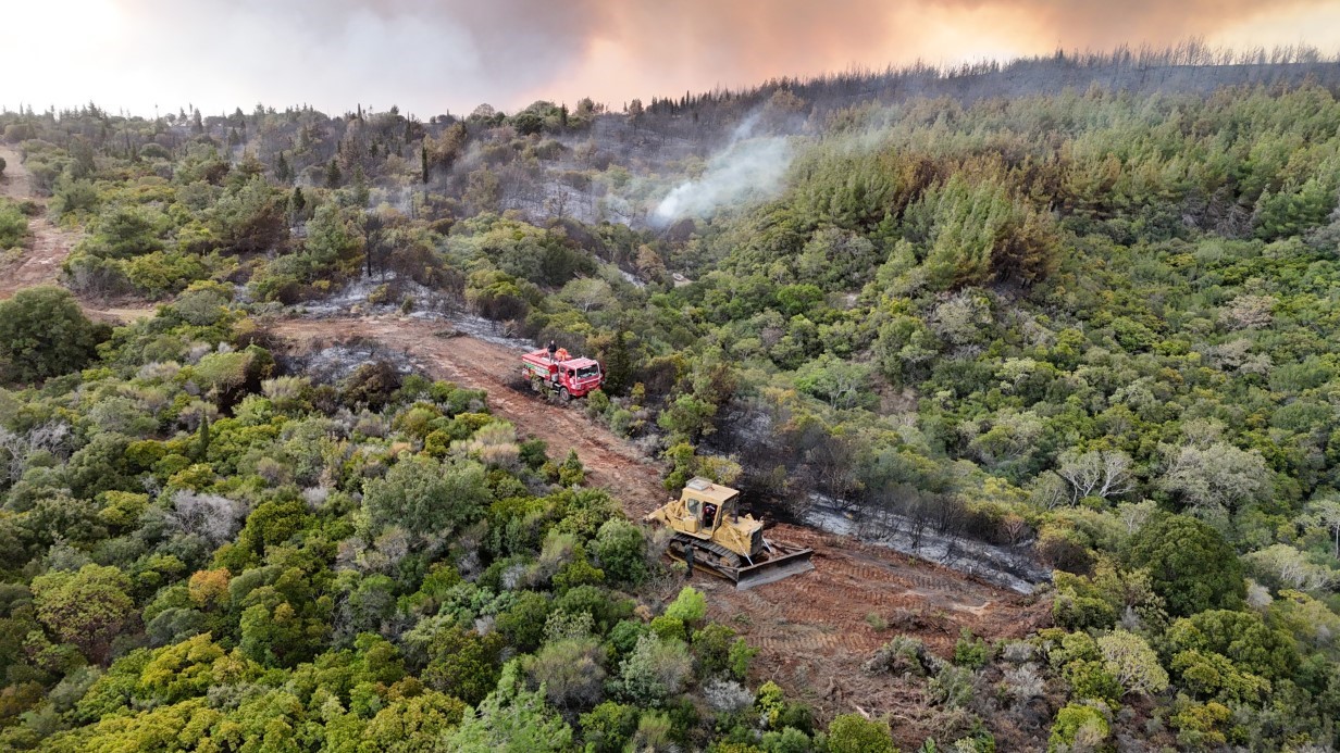 Canakkale Ates Cemberinde Geliboluda Orman Yangini Suruyor3